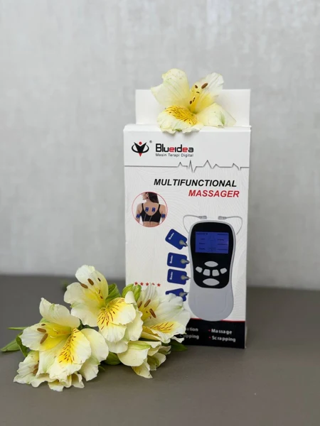 دستگاه تنس مینی بلوآیدیا BLD-610 با حالت TENS و EMS، تصویر 2
